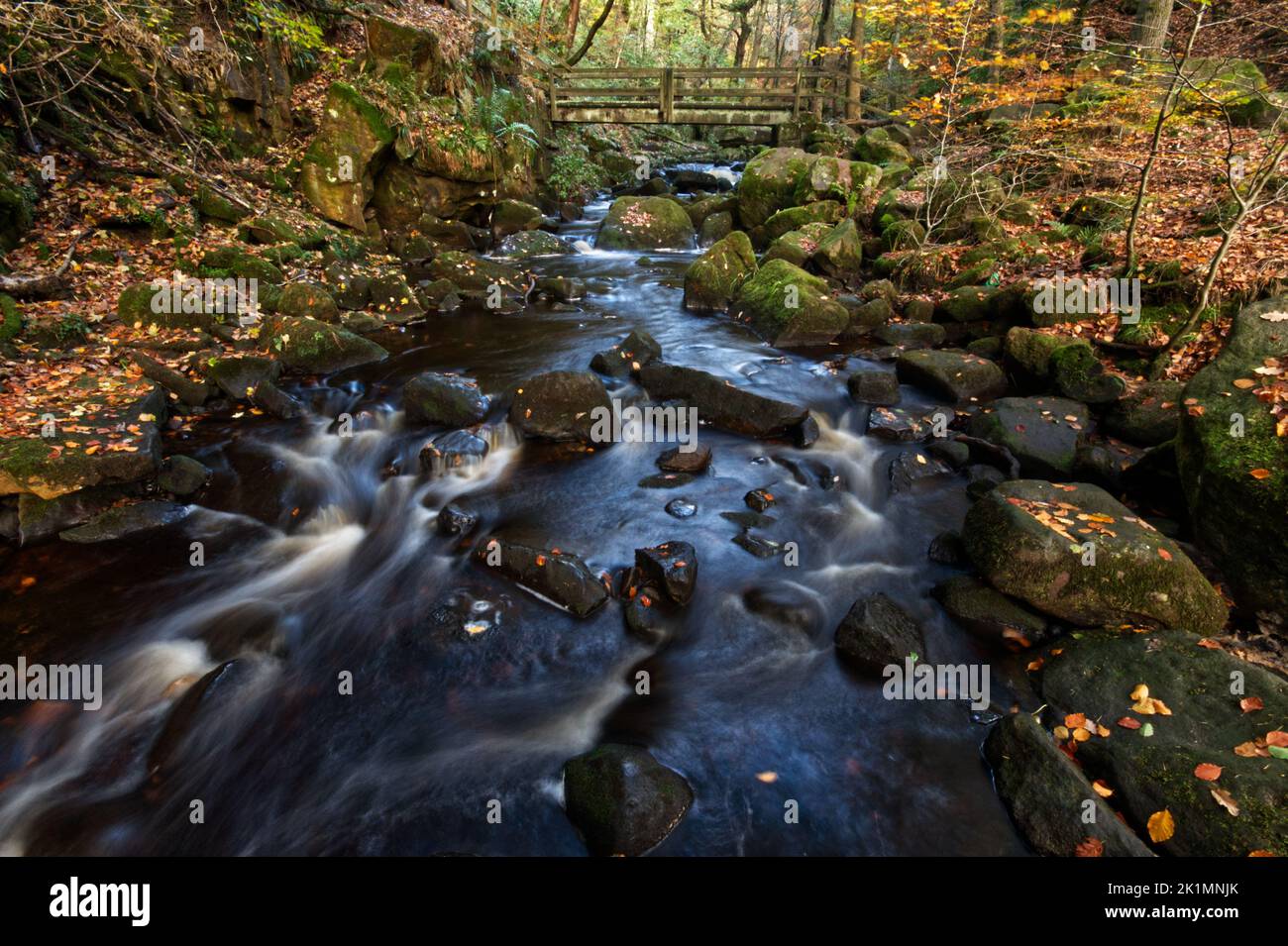 Burbage Brook, Herbst im Peak District National Park Stockfoto