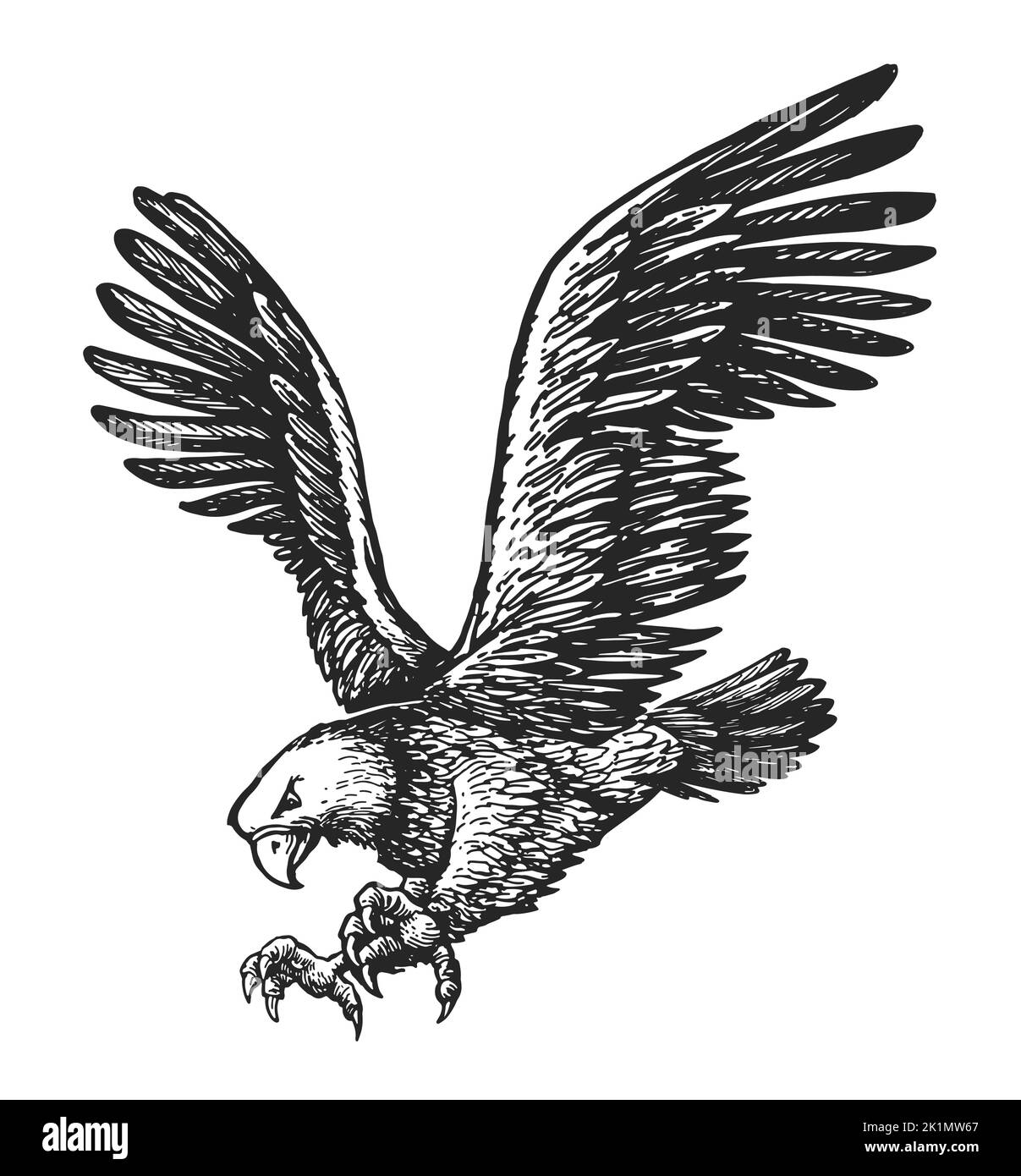 Weißkopfseeadler mit Talonkrallen nach vorne und Flügel ausgebreitet. Skizze für Tiervögel. Vektor-Illustration im Vintage-Gravurstil Stock Vektor