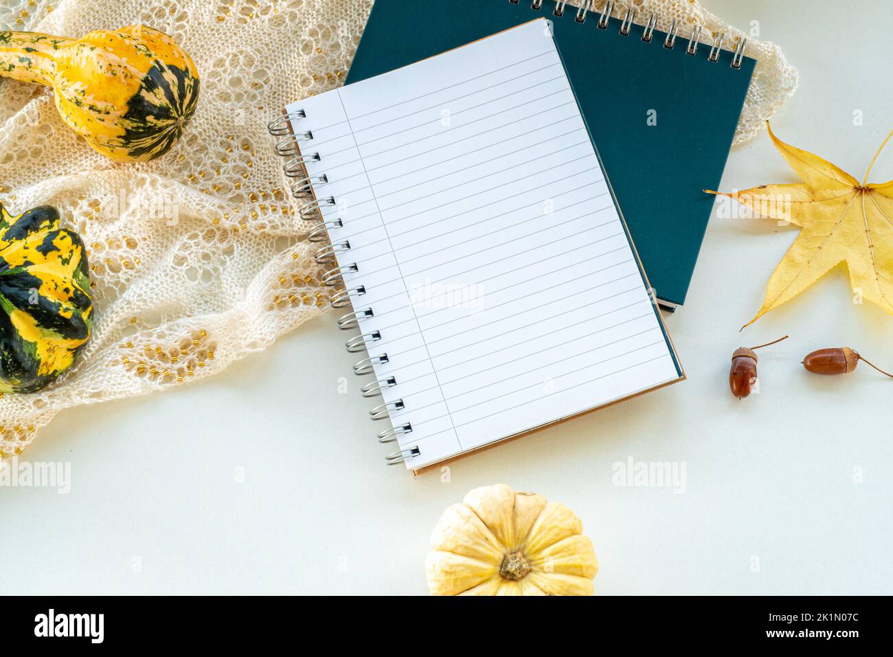 Herbstkomposition. Leerer Kalender, Notebook-Modell. Zutaten und Rezepte für die Herbstsuppe. Kürbisse, trockene Blätter, Eicheln. Grün und Gelb dominieren c Stockfoto