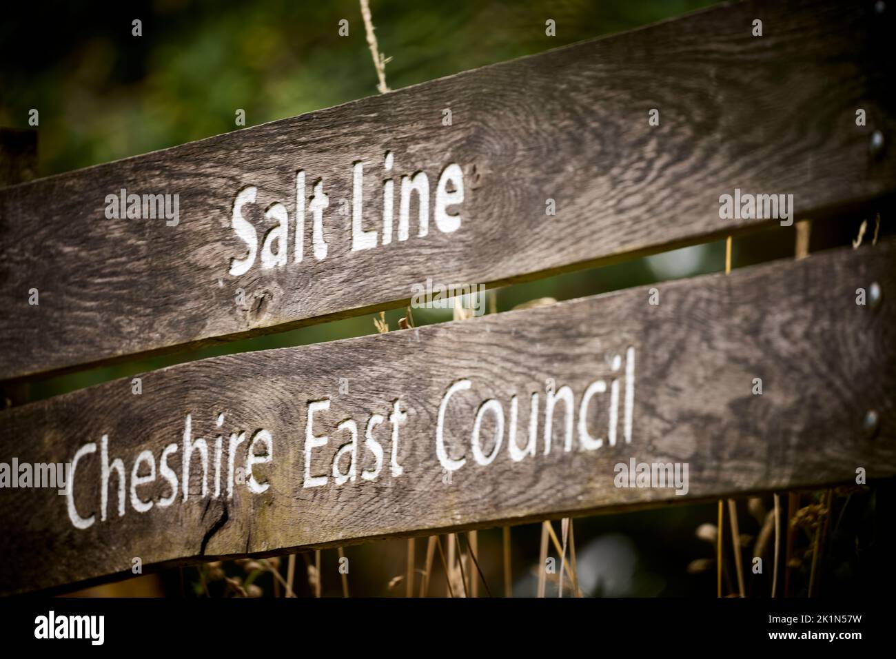 Alsager-Heshire-Ost in Heshire, England. Salt Line Spaziergänge in der Natur Stockfoto