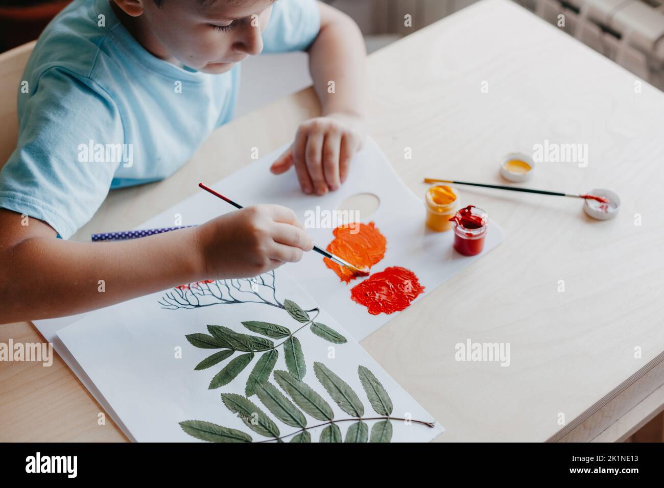 Niedliches Kind sitzt am Schreibtisch und zeichnet Vogelbeeren auf Albumblatt mit trockenen Ebereschen Stockfoto