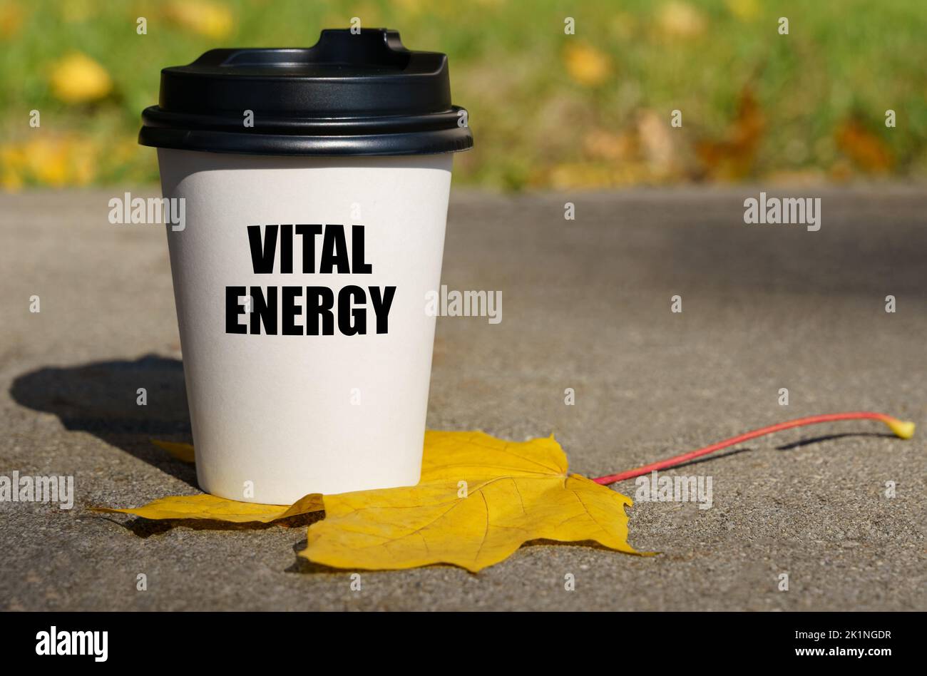 Auf einem gelben Ahornblatt steht eine Tasse Kaffee, auf dem geschrieben ist - Lebensenergie. Motivationskonzept Stockfoto