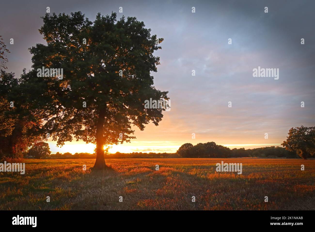 Sonnenuntergang über Massey Brook Green belt Land, Grappenhall, Warrington, Ceshire, England, GROSSBRITANNIEN , WA4 Stockfoto