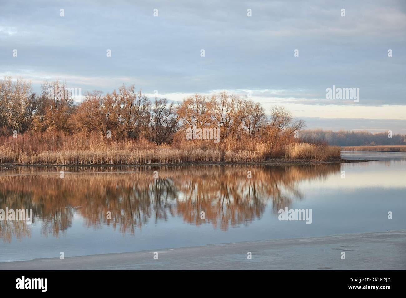 Herbstlandschaft am See mit blattlosen Bäumen Stockfoto