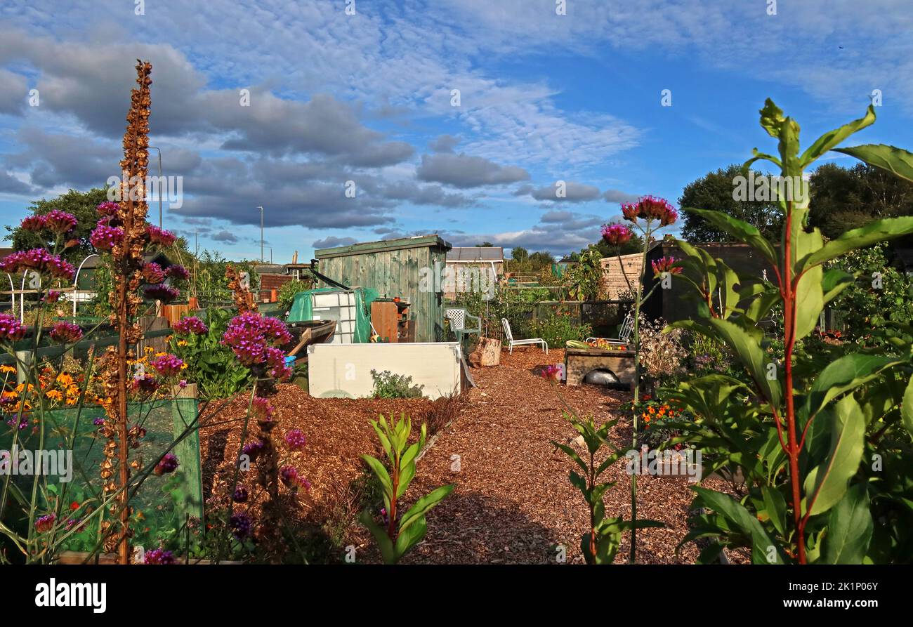 GAFA, Glossopdale Action for Allotments, Gamesley Estate, Melandra Castle Road, Gamesley, High Peak, England, UK, SK13 0BN Stockfoto