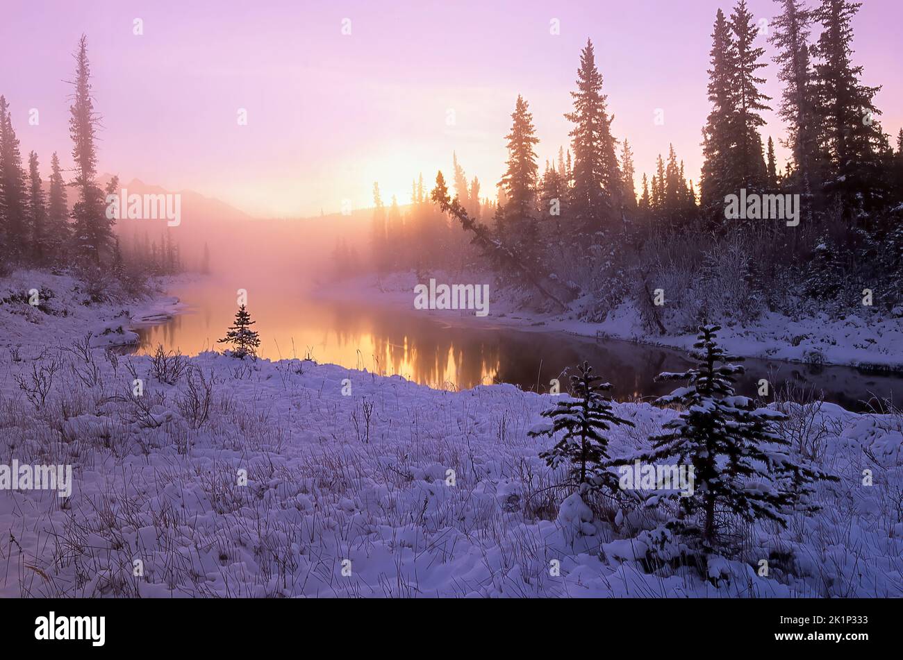 Ein atemberaubendes, hintergrundbeleuchtetes Sonnenaufgangsbild eines nebligen Teiches im Jasper National Park in Alberta, Kanada Stockfoto