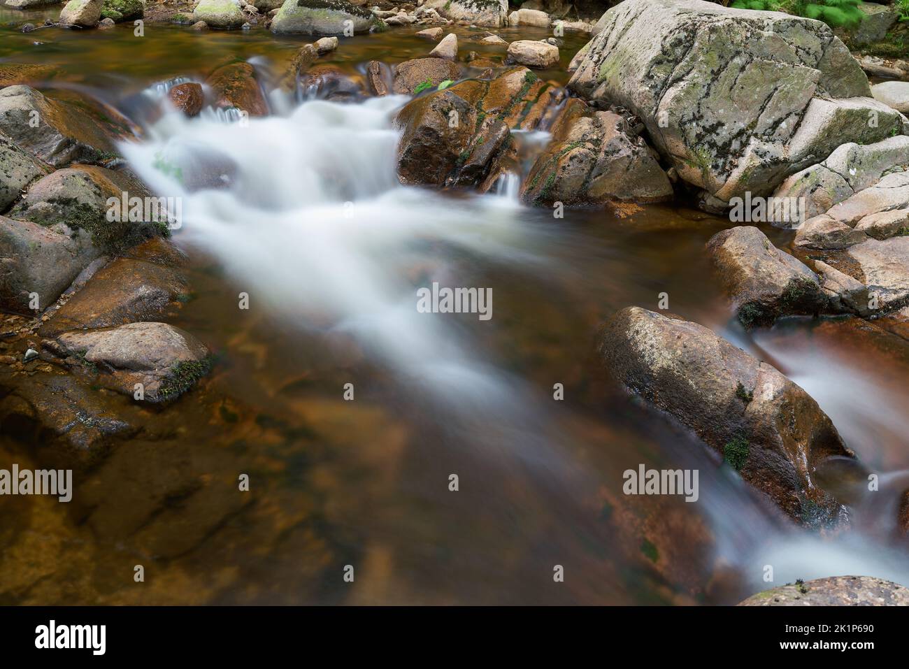 Die Ilse bei Ilsenburg im Wald am Fuße des Brockens im Nationalpark Harz Stockfoto
