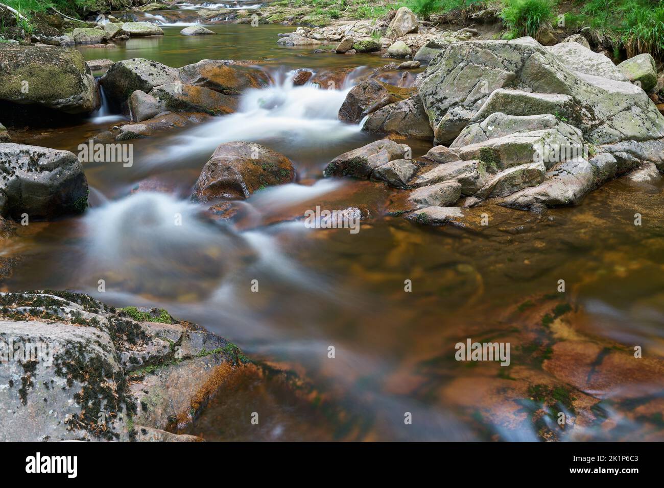 Die Ilse bei Ilsenburg im Wald am Fuße des Brockens im Nationalpark Harz Stockfoto