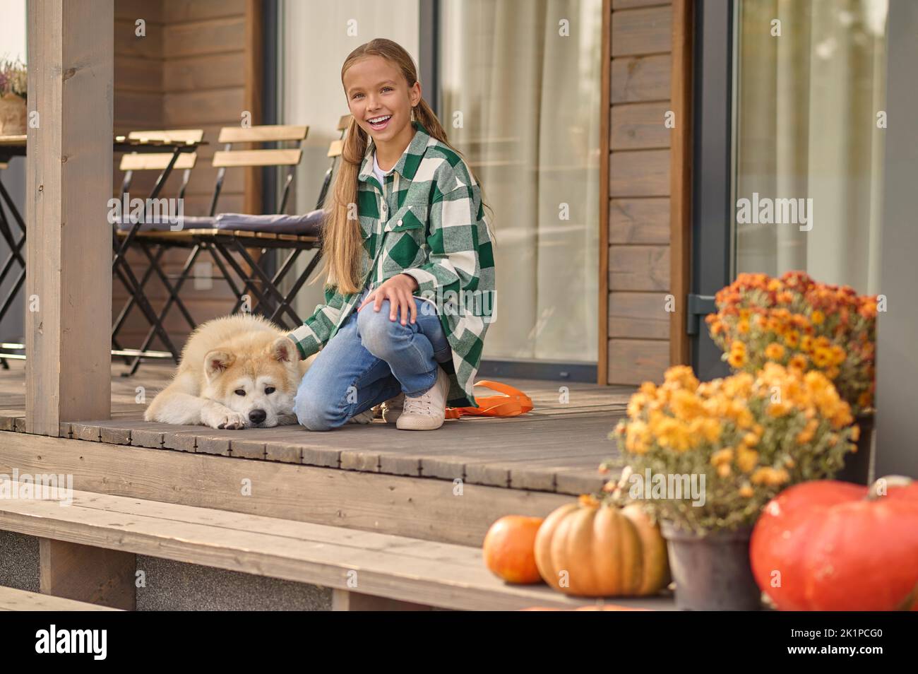 Fröhlicher Teenager streichelte ihren schönen Hund und schaute vor ihr Stockfoto