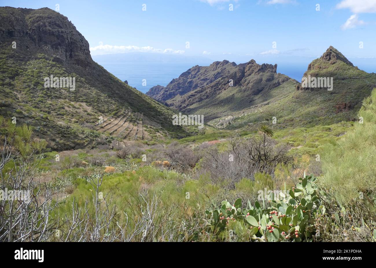 Berglandschaft zwischen masca und Teno auf Teneriffa, Kanarische Inseln, Spanien Stockfoto