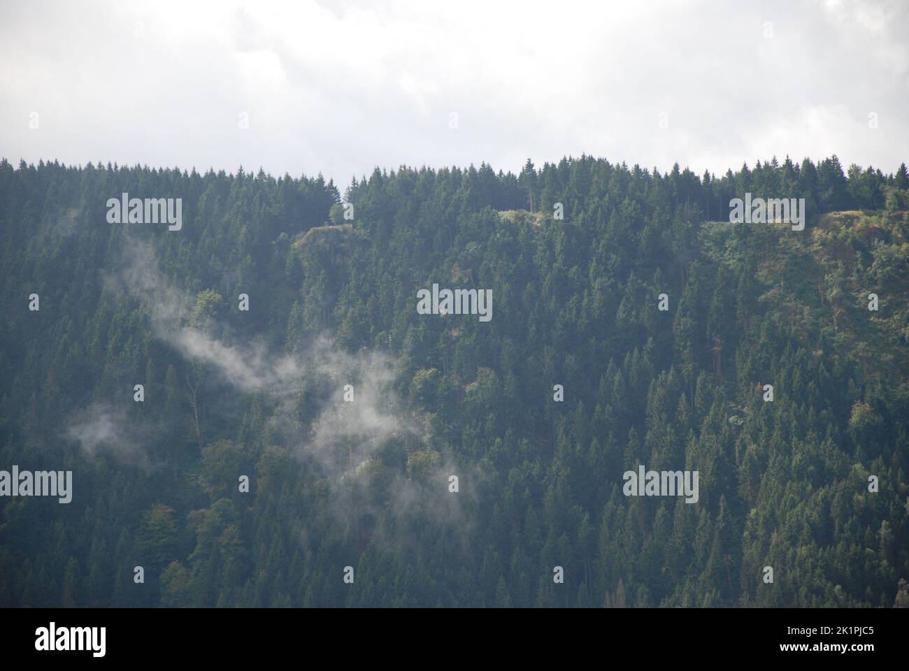 Eine Luftaufnahme von Wolken, die über einem grünen Wald im Harz in Deutschland schweben Stockfoto