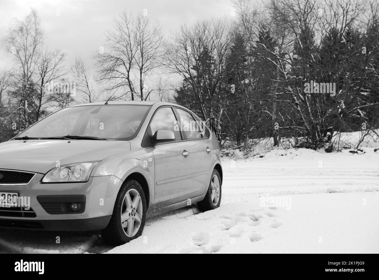 Ein graues Auto, das auf einer Spur durch einen schneebedeckten weißen Wald fährt Stockfoto