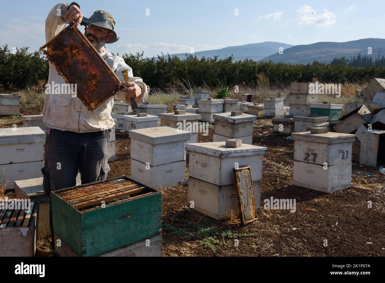 (220920) -- SDE ELIEZER, 20. September 2022 (Xinhua) -- Ein Imker extrahiert Honig auf einem Bienenhaus in Sde Eliezer, Nord-Israel, 19. September 2022. (Ayal Margolin/JINI über Xinhua) Stockfoto