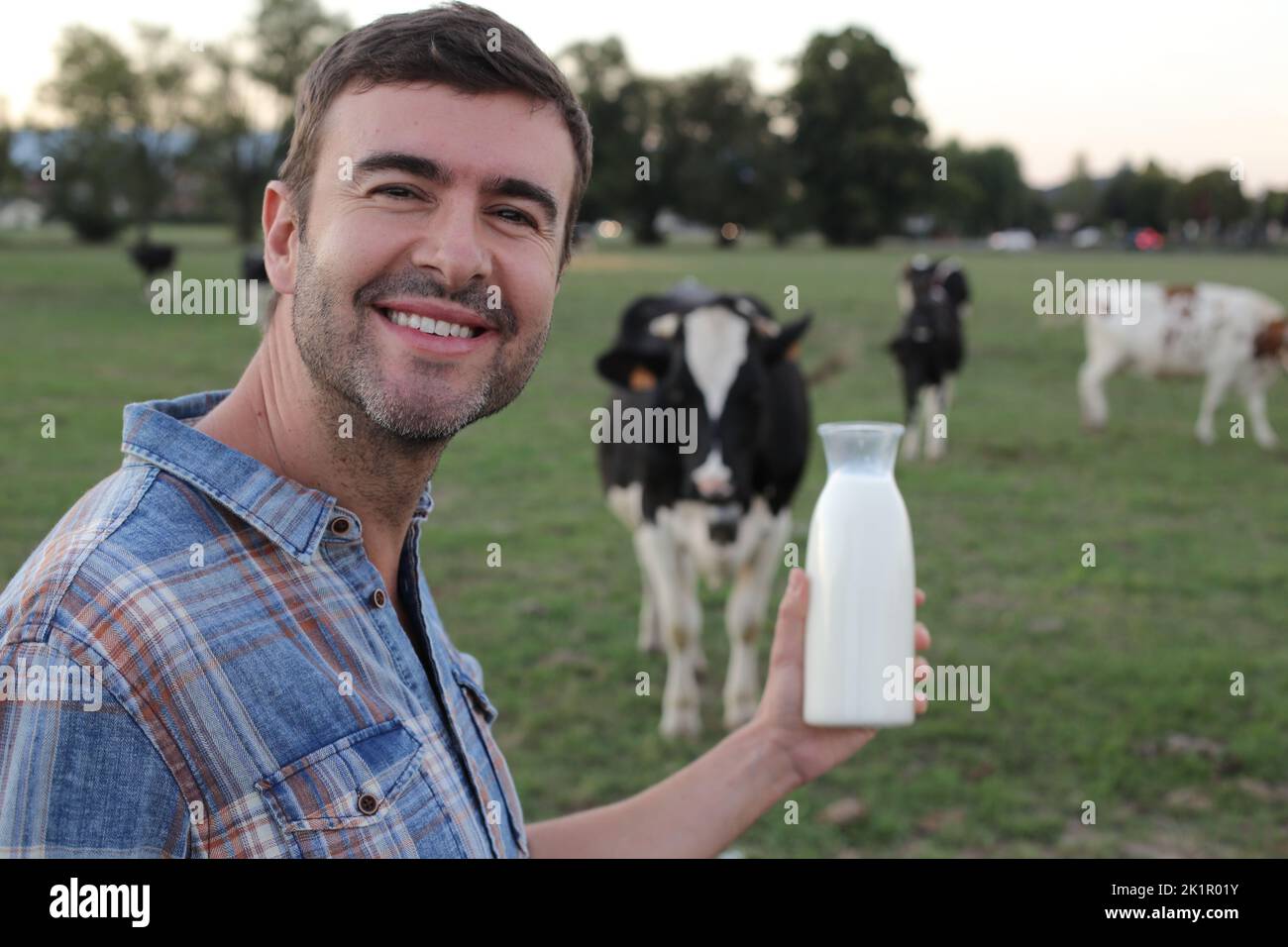 Landwirt mit Kühen im Hintergrund Stockfoto