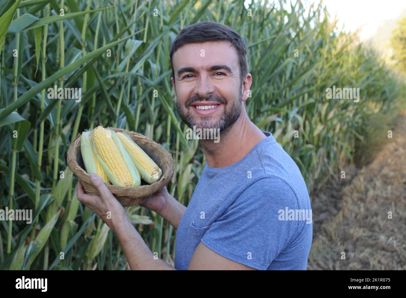 Landwirt in schönen Maisfeldern Stockfoto