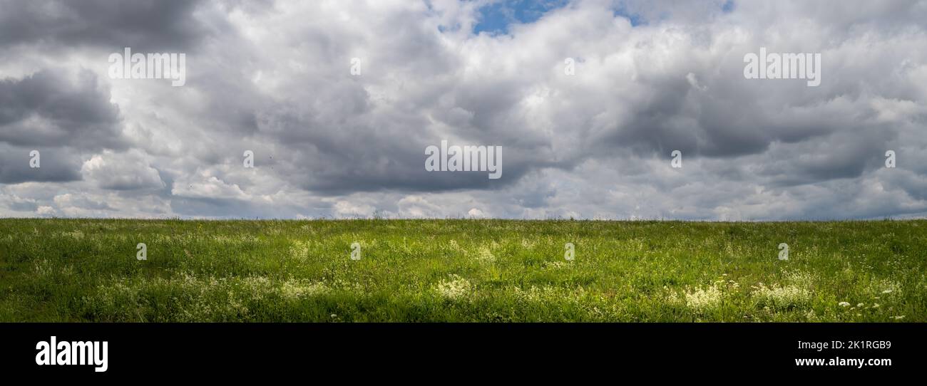 Landschaft mit grünem Grasfeld, bewölktem Himmel Stockfoto