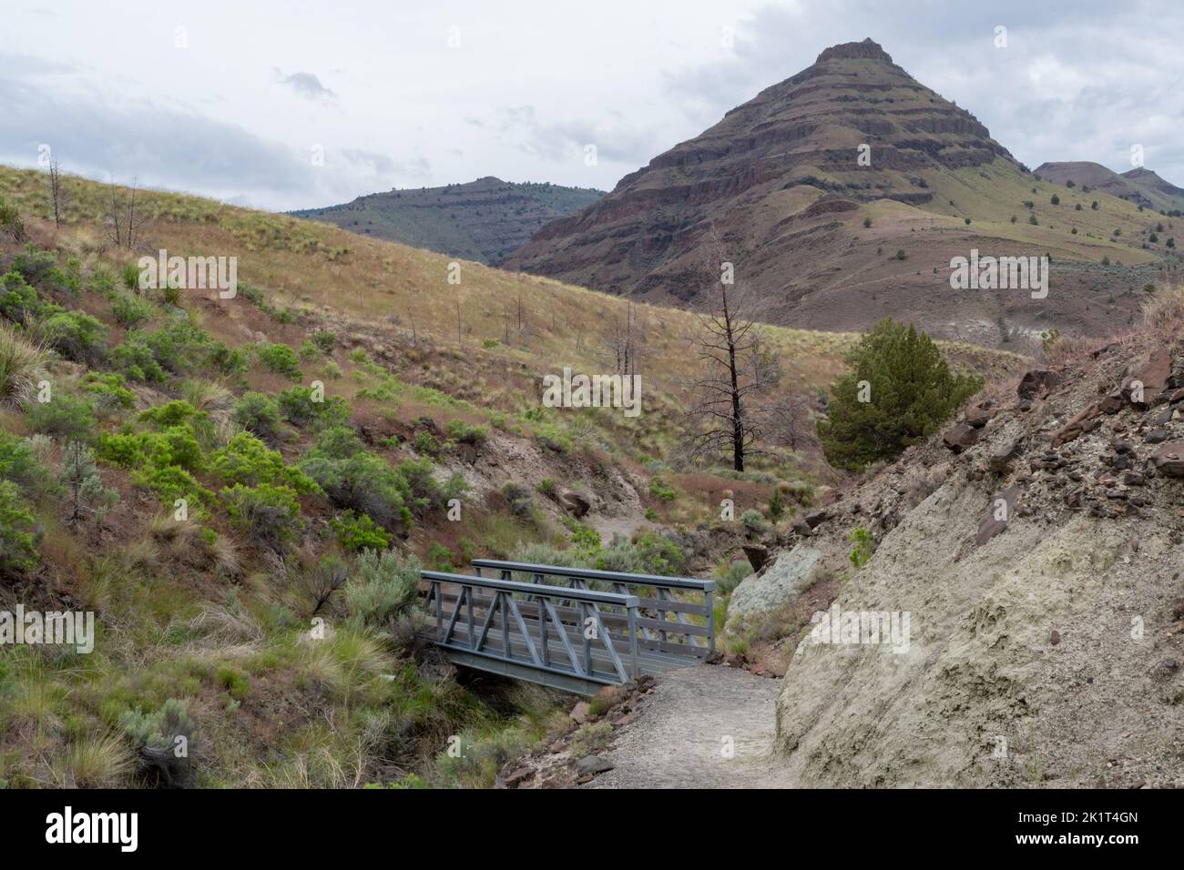 Ein Fußweg mit einer kleinen Brücke in den John Day Fossil Beds, Painted Hills Central Oregon, USA. Stockfoto