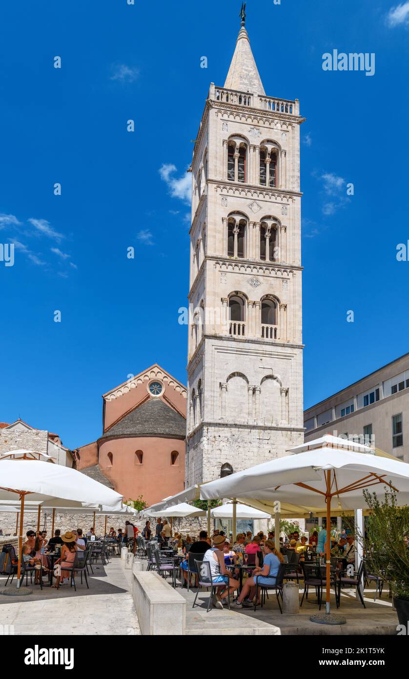 Café vor dem Glockenturm der St. Anastasia Kathedrale in der Altstadt, Zadar, Kroatien Stockfoto