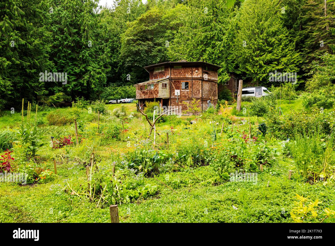 Private Residenz tief im üppigen Wald; Fidalgo Island; Anacortes; Washington; USA Stockfoto