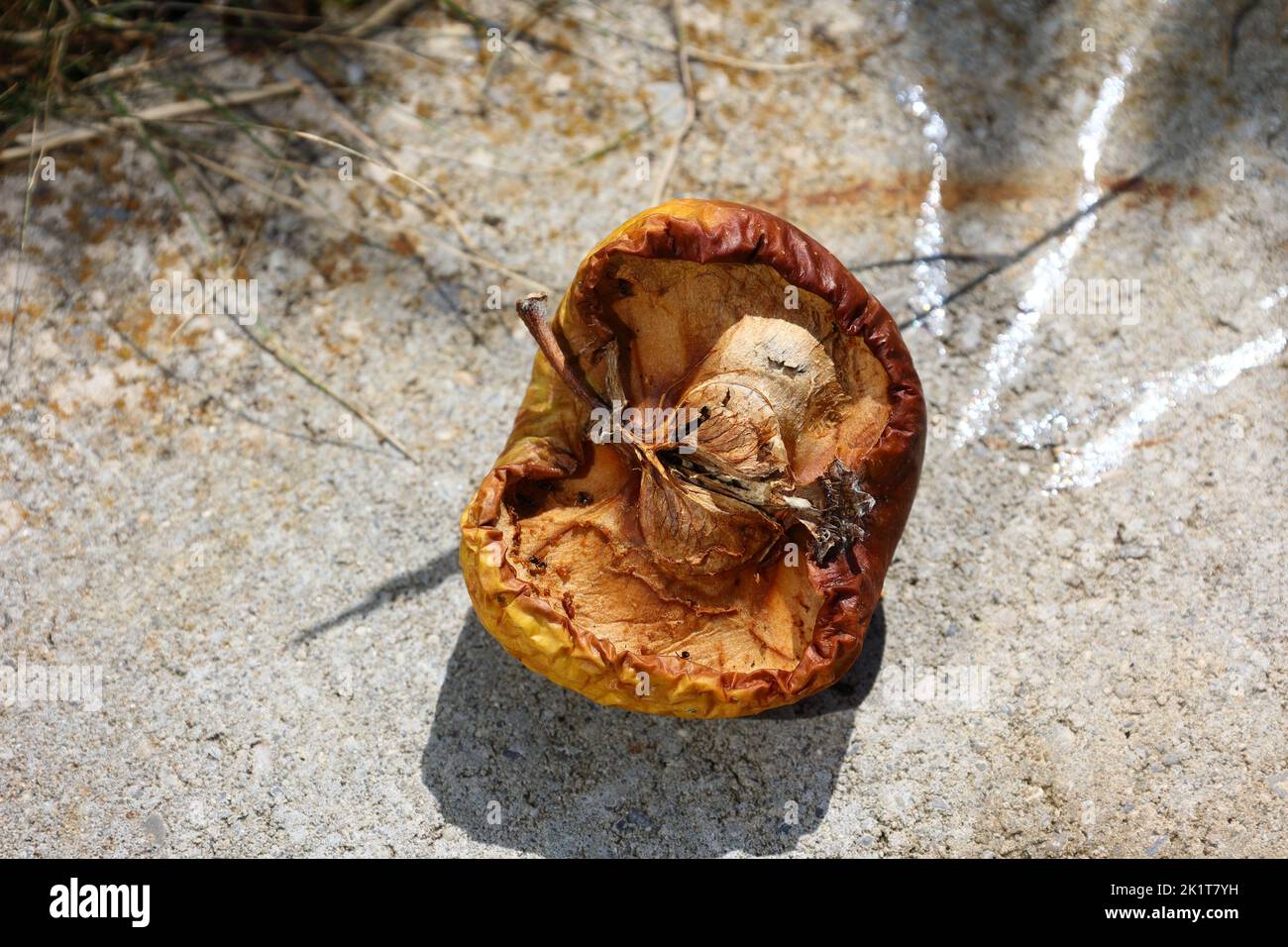 Apfel auf einer Steinplatte hat von der Sonne getrocknet Stockfoto