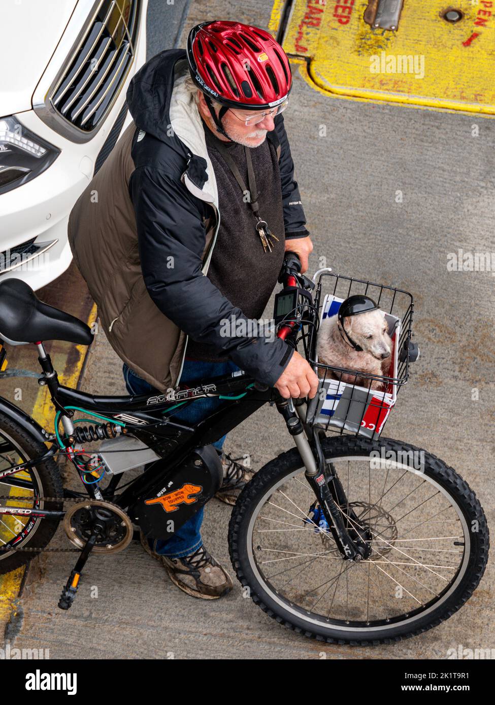 Radfahrer-Passagier mit Haustier Hund im Korb; auf Mukilteo - Clinton Ferry; Puget Sound; Washington; USA Stockfoto