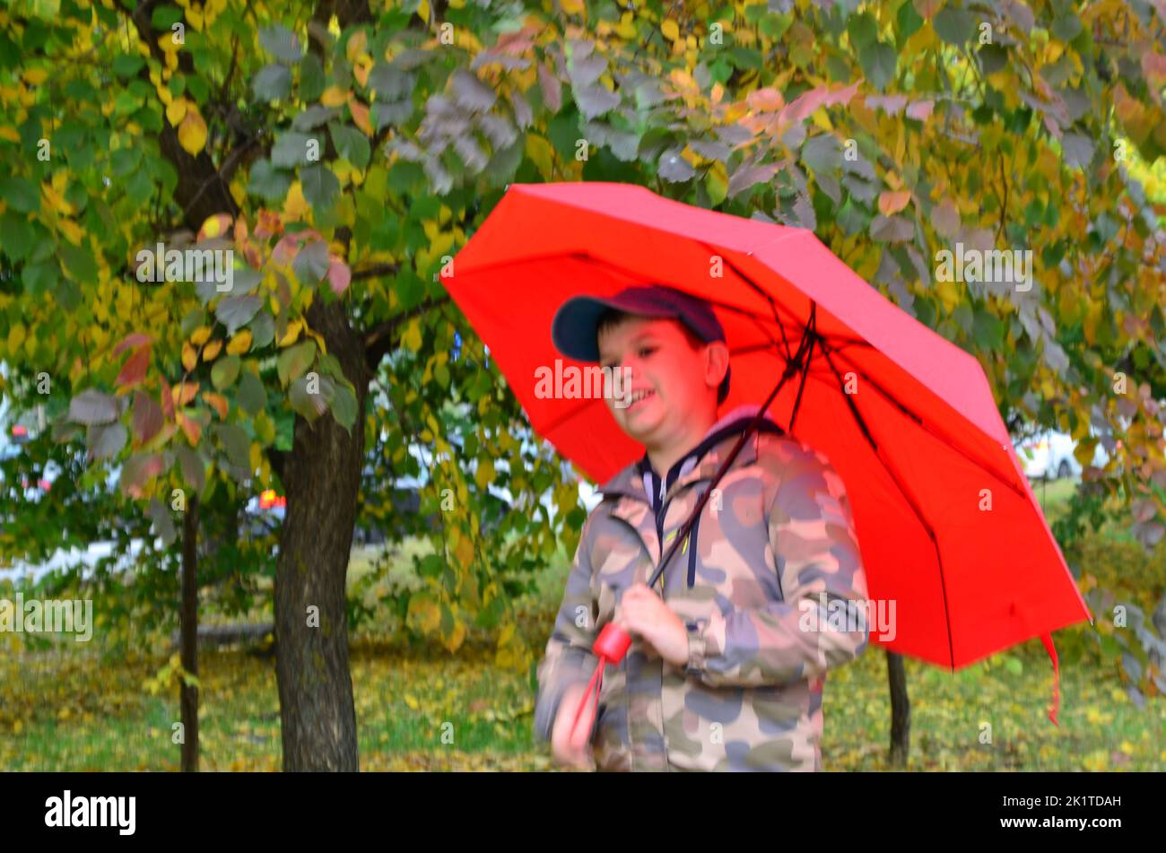 Junge mit Regenschirm am Herbsttag. Das Kind grillend. Hinter dem Rücken des Jungen herrlich gelber Baum. Er versucht, einen Regenschirm im Wind zu halten. Stockfoto