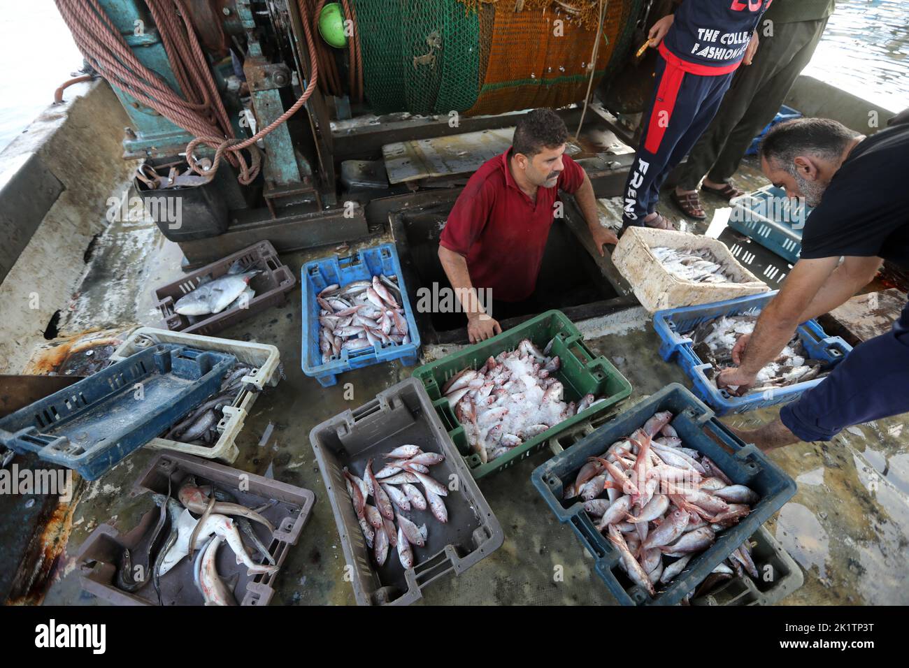 Gaza, Palästina. 20. September 2022. Palästinensische Fischer entladen ihre Fische im Hafen von Gaza. Israel verbietet aus unbekannten Gründen immer noch den Export von Fisch aus dem Gazastreifen nach Israel und in das Westjordanland, so der Leiter des palästinensischen Fisherman's Syndicate Nizar Ayyash. (Foto von Ahmed Zakot/SOPA Images/Sipa USA) Quelle: SIPA USA/Alamy Live News Stockfoto