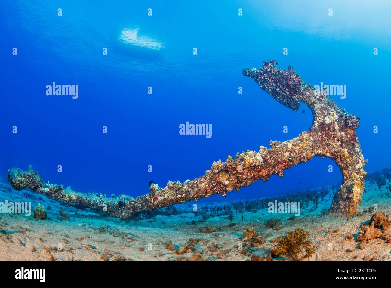 Ein alter Anker liegt auf einem sandigen Grund vor der Insel Maui, Hawaii, USA. Ein Boot auf der Oberfläche zeugt von dem klaren Wasser. Stockfoto