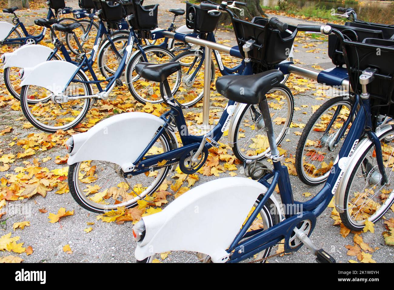 Fahrradreifen auf der Fahrradverleihstation im Herbst Stockfoto