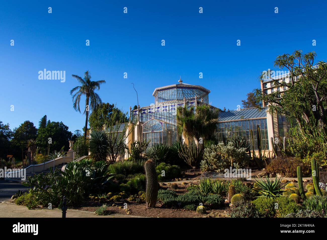 Das Glashaus im Botanischen Garten von Adelaide Stockfoto