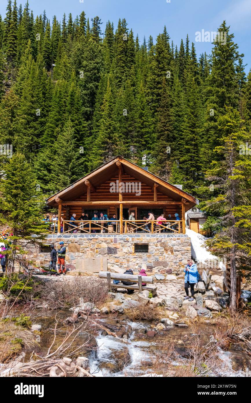 Touristen besuchen das Lake Agnes Tea House, Lake Louise, Banff National Park, Alberta und Kanada Stockfoto