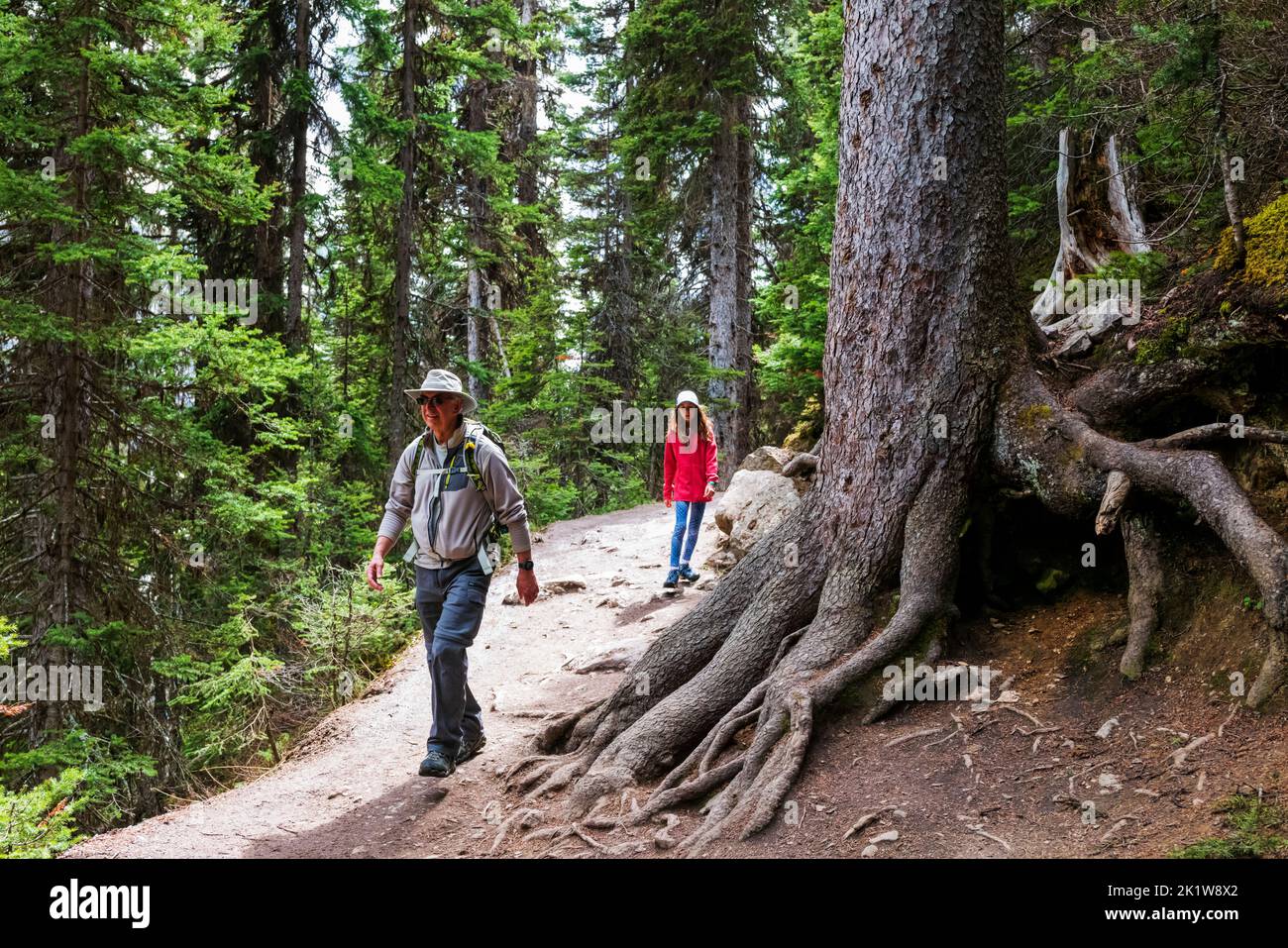 Zwei Wanderer auf dem Lake Agnes Trail; Lake Louise; Banff National Park; Alberta; Kanada Stockfoto
