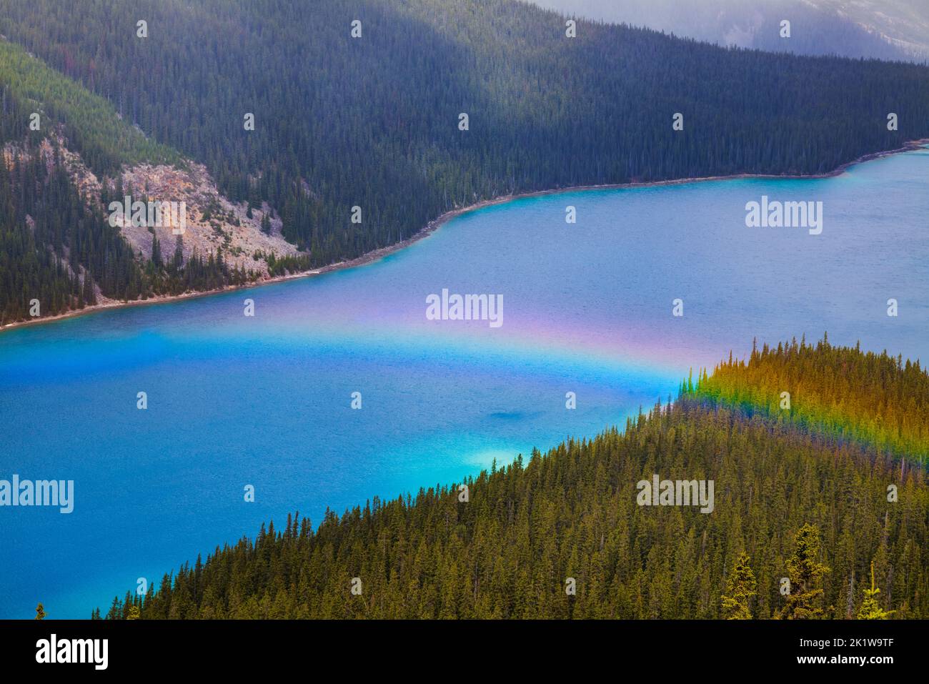 Regenbogen über Peyto Lake; Banff National Park; Alberta; Kanada Stockfoto