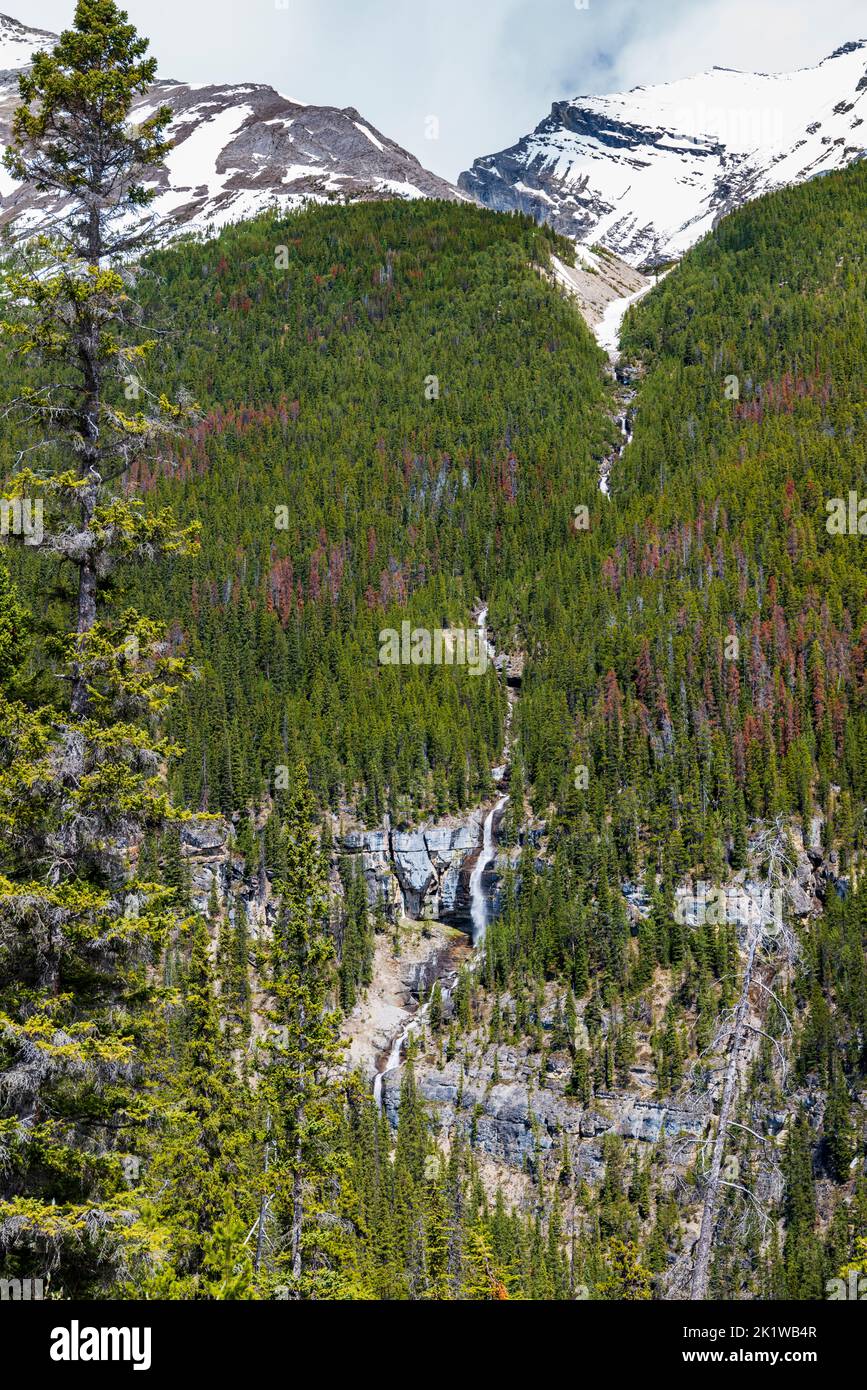 Bridal Veil Falls; Bow River Valley; Banff National Park; Alberta; Kanada Stockfoto