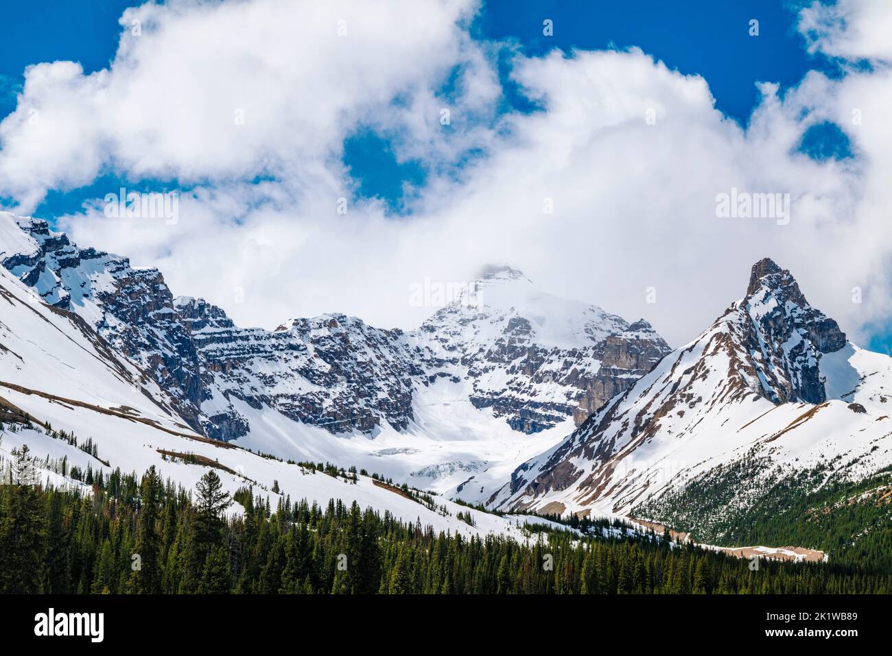Mt. Athabsca; Saskatchewan-Gletscher; Bow River Parkway; Banff-Nationalpark; Alberta; Kanada Stockfoto