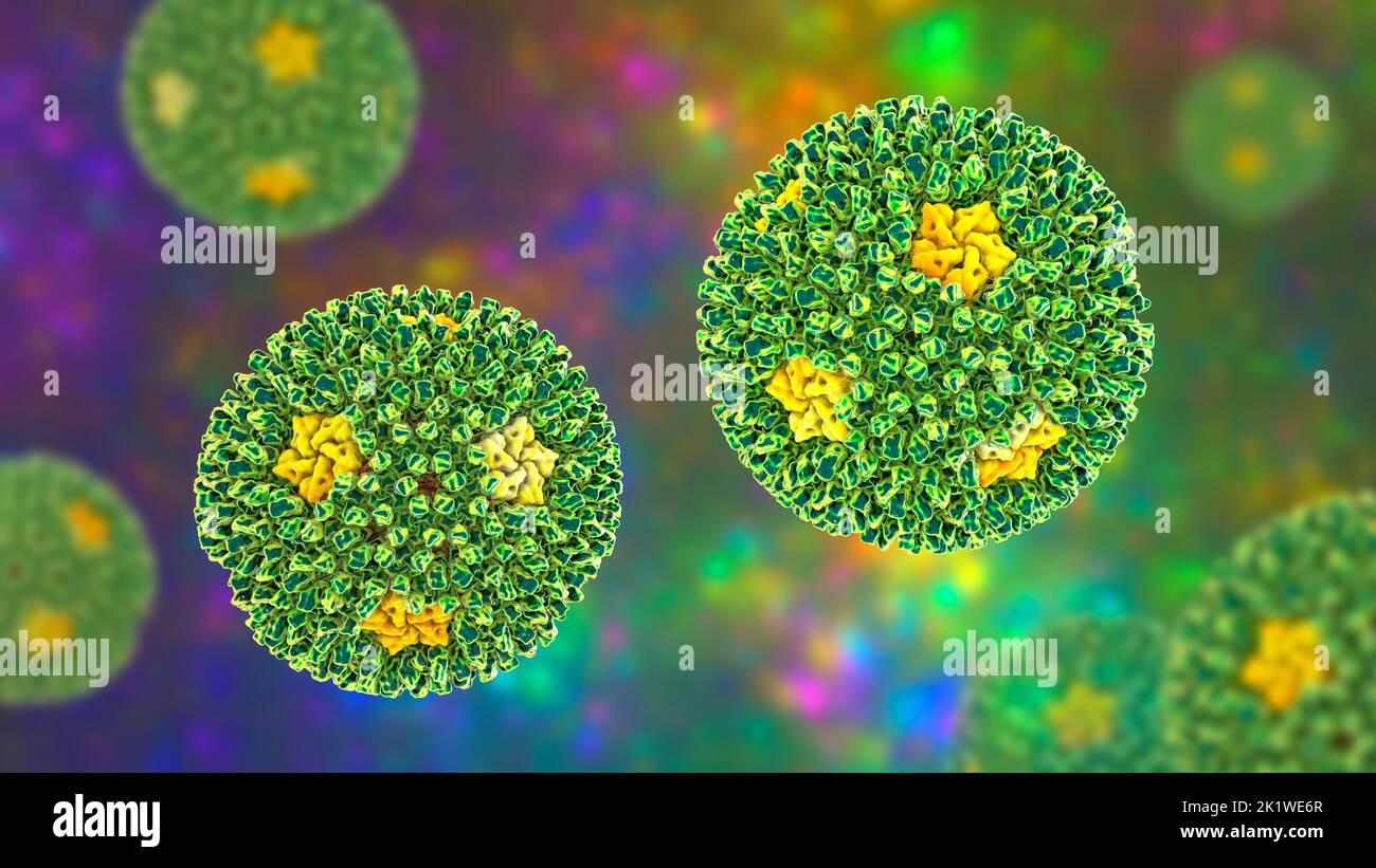 Reovirus, Abbildung Stockfoto