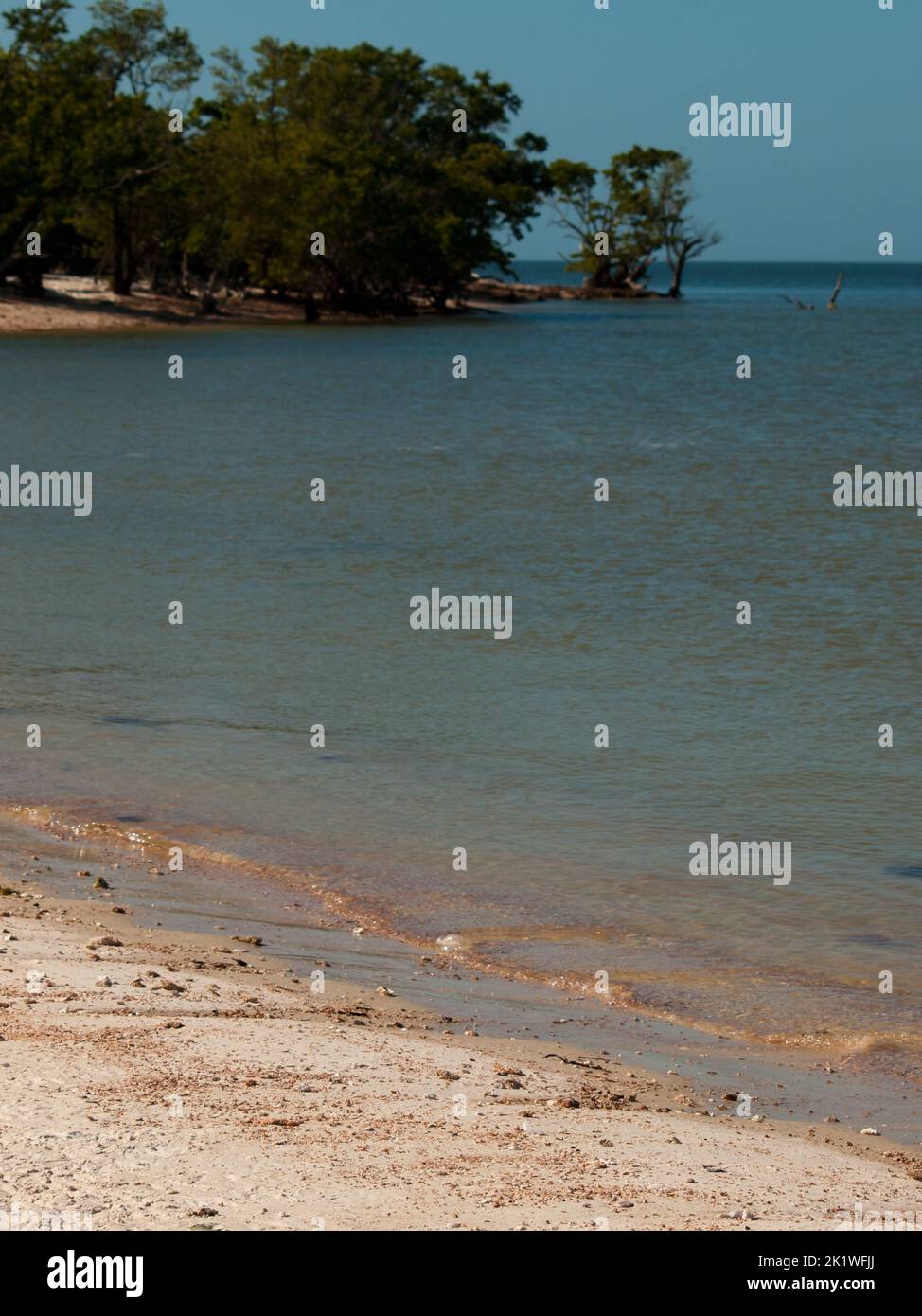 Ten Thousand Islands Stockfoto