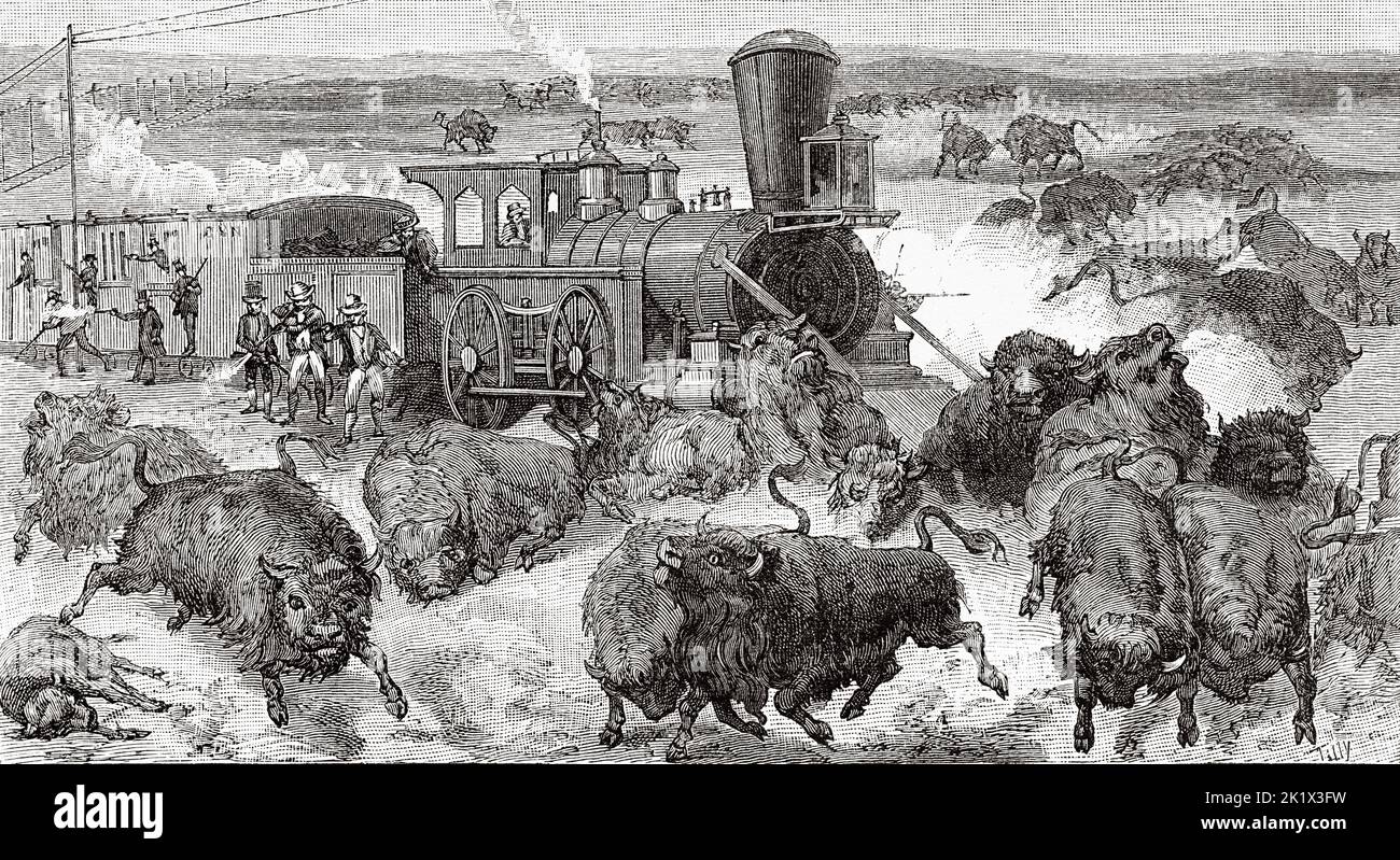 Buffalo Hunt auf der Kansas-Pacific Railroad in den USA, 1872, USA. Alte, gravierte Illustration aus dem 19.. Jahrhundert von La Nature 1890 Stockfoto