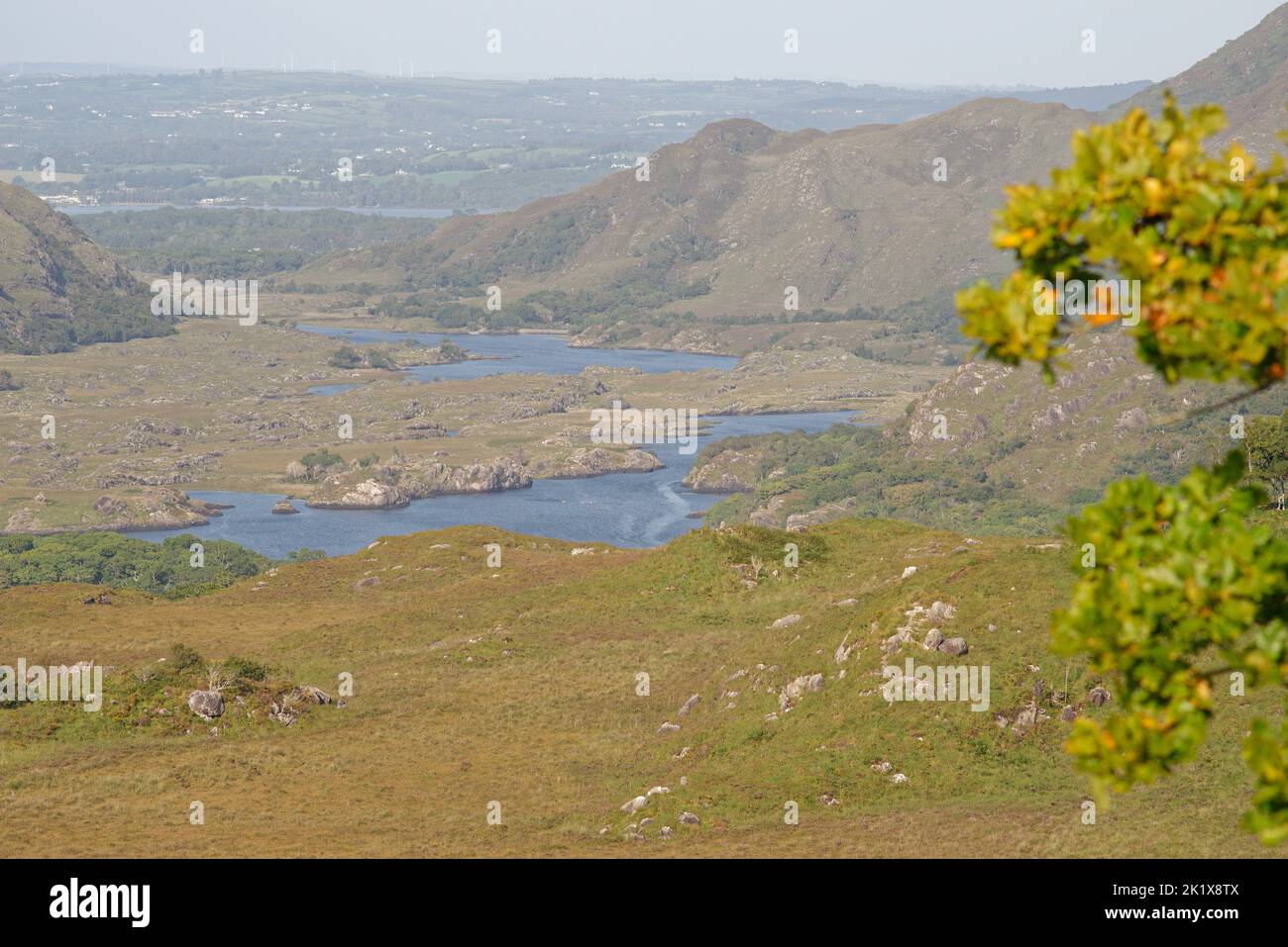 Ring of Kerry-Landschaft. Stockfoto