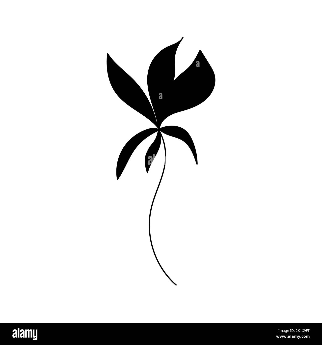 Illustration einer Blume, Silhouette eines Zweiges mit Blumen und Blättern. Vektorgrafik. Blumendruck Stock Vektor