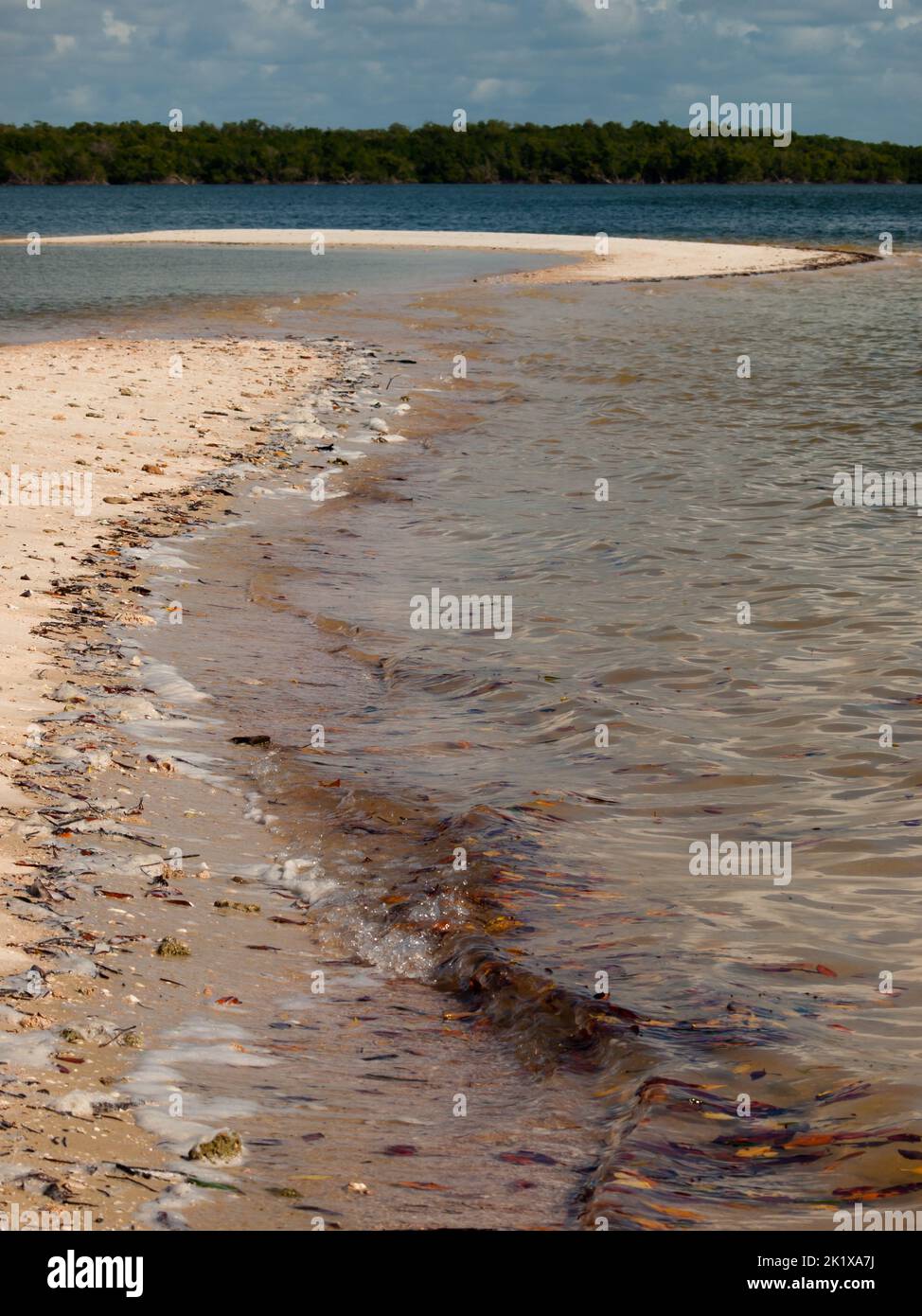 Ten Thousand Islands Stockfoto