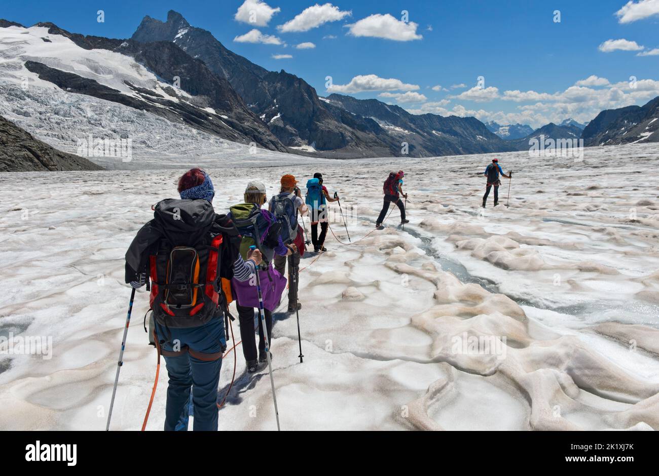 Alpinisten am Seil über den Jungfraufirngletscher auf dem Weg zum Eisfeld Konkordiaplatz, dahinter Aletschgletscher, Jungfraujoch, Grindelwald, Stockfoto