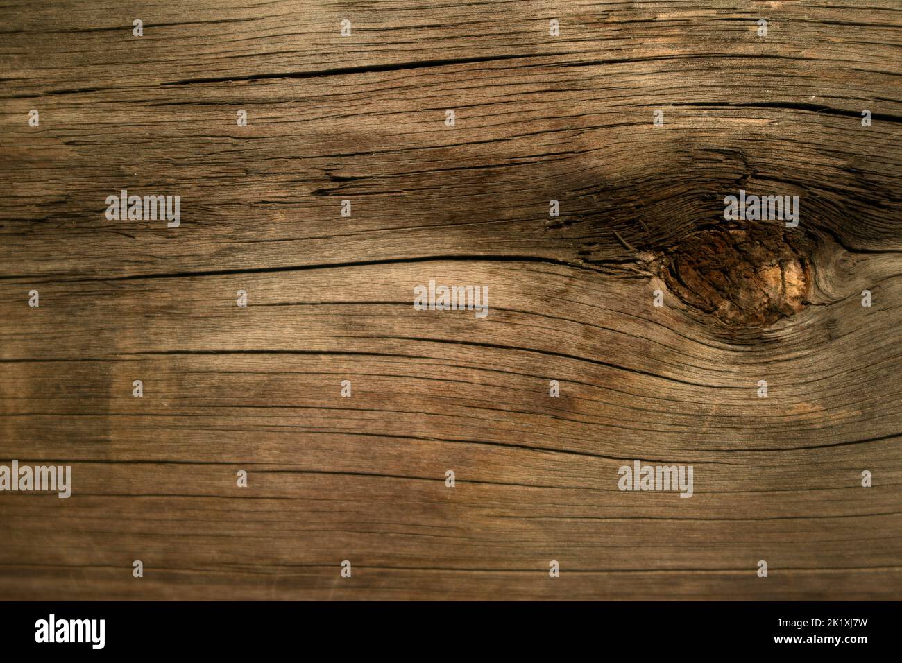 Nahaufnahme von verwittertem Holz, das einen Knoten vom Baum zeigt, von dem es stammt, idealer natürlich aussehender Hintergrund, um natürliche Themen zu illustrieren Stockfoto