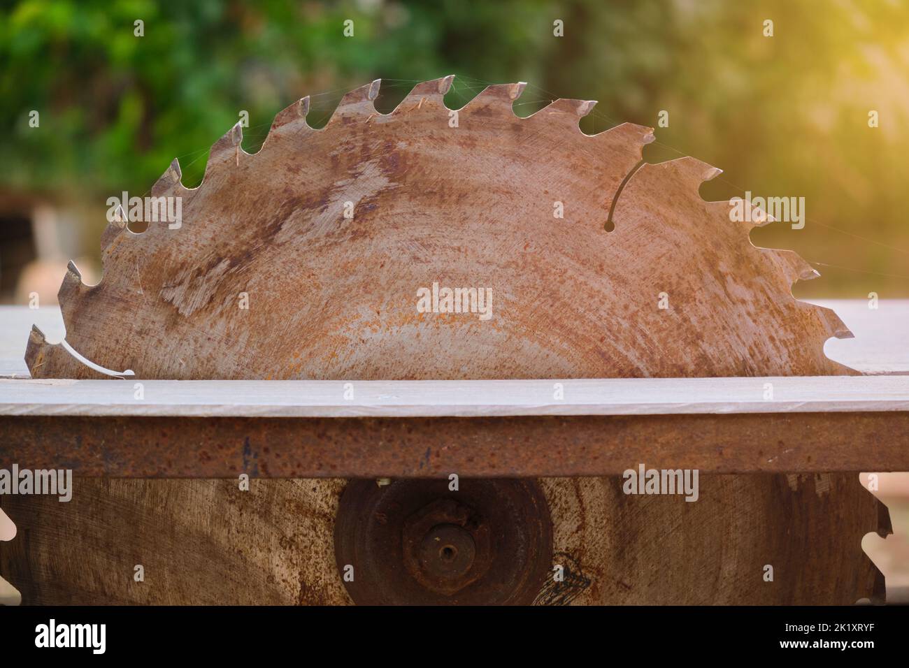 Metallkreissägeblatt mit Zähnen über dem Arbeitstisch verschwommener Hintergrund Stockfoto