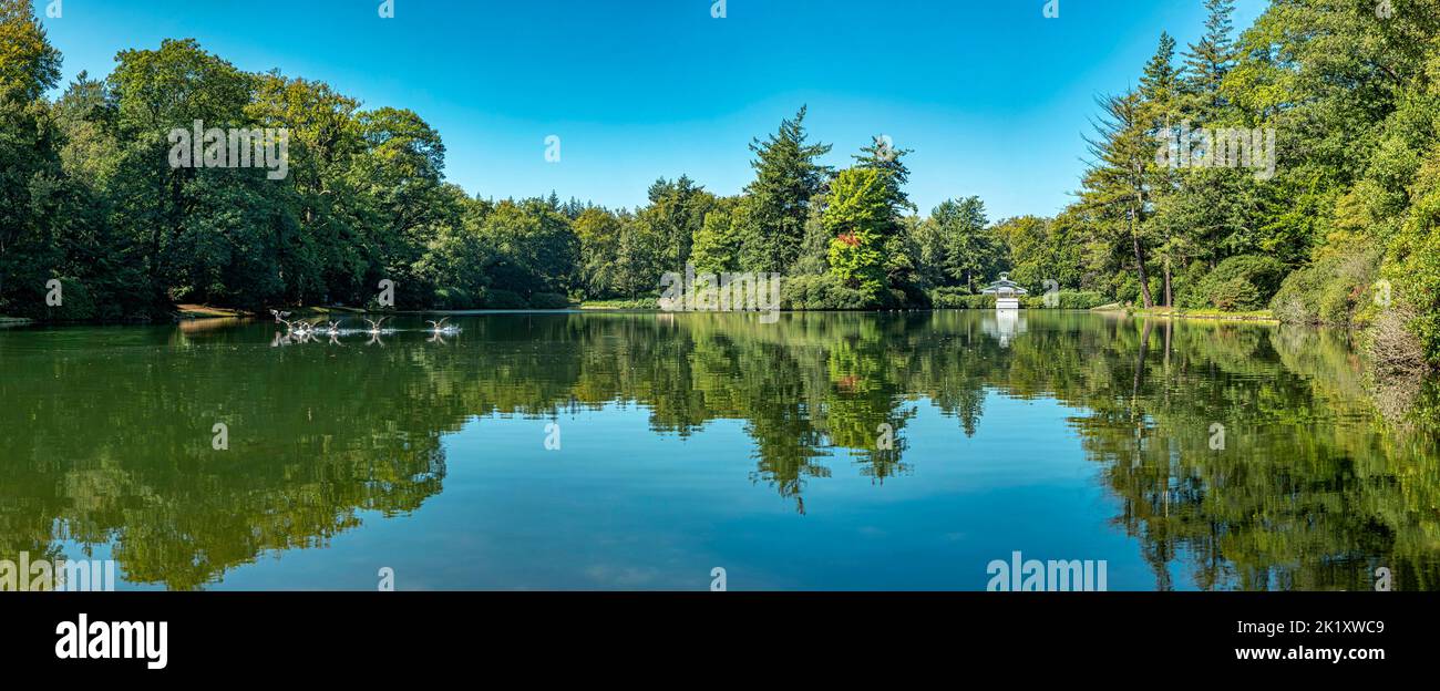 Royal Park Het Loo, Tee-Pavillon am Ufer eines Teiches Stockfoto