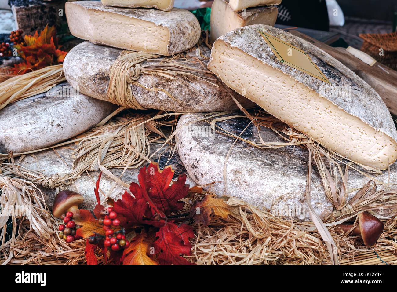 Auf dem Stand auf dem saisonalen Lebensmittelmarkt in Alba, Piemont, Norditalien, werden Runden und Stücke handwerklichen Käses serviert. Stockfoto