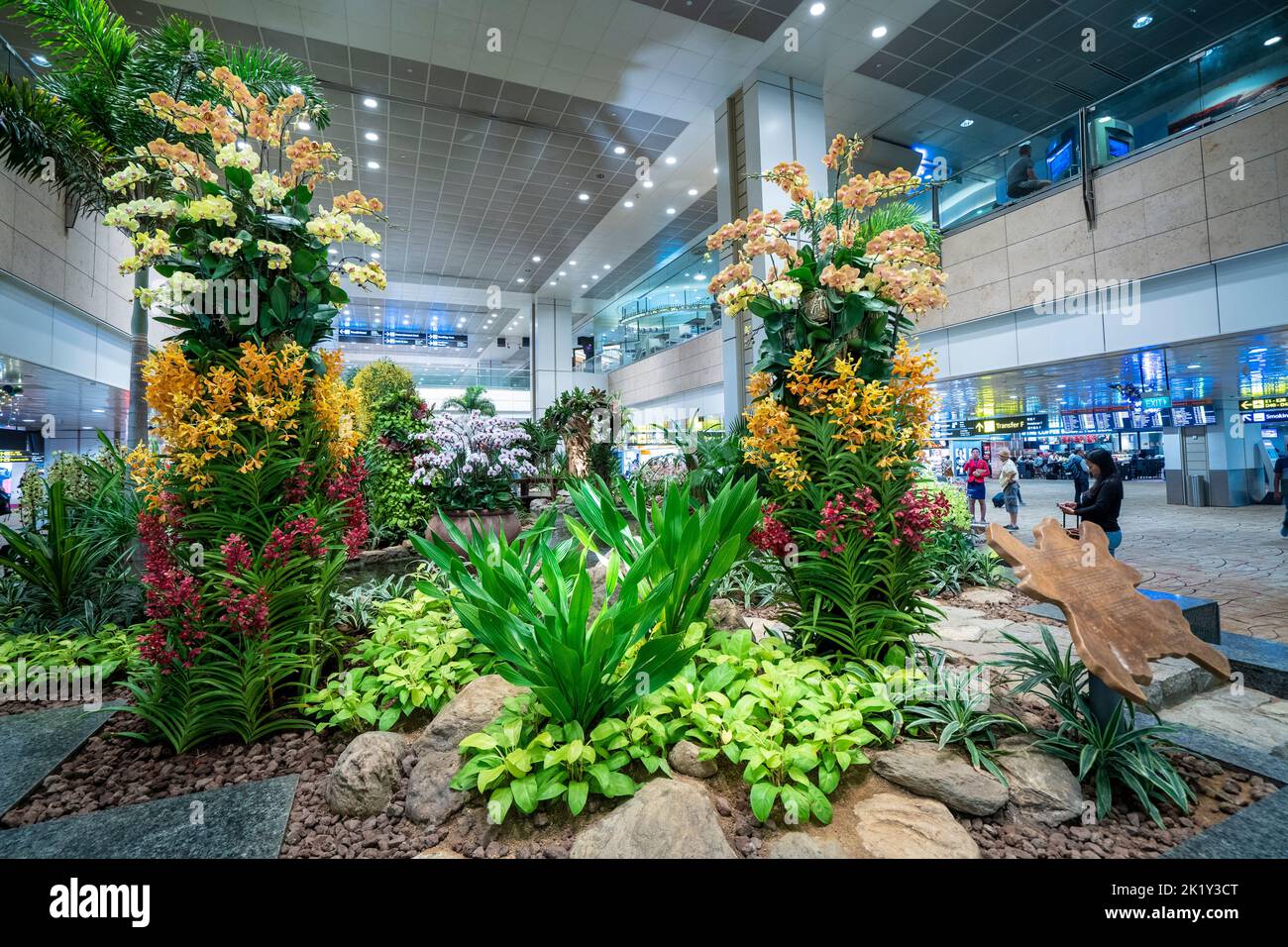 Farbenfrohe Blumenpracht im Orchideengarten im Changi International Airport, Singapur. Stockfoto
