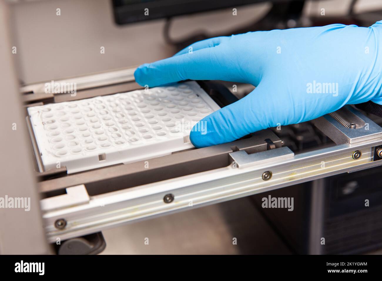 Wissenschaftler beladen Proben in einen RT-PCR-Thermocycler im Labor. Echtzeit-Polymerase-Kettenreaktionstechnik. RT-PCR-Technik Stockfoto