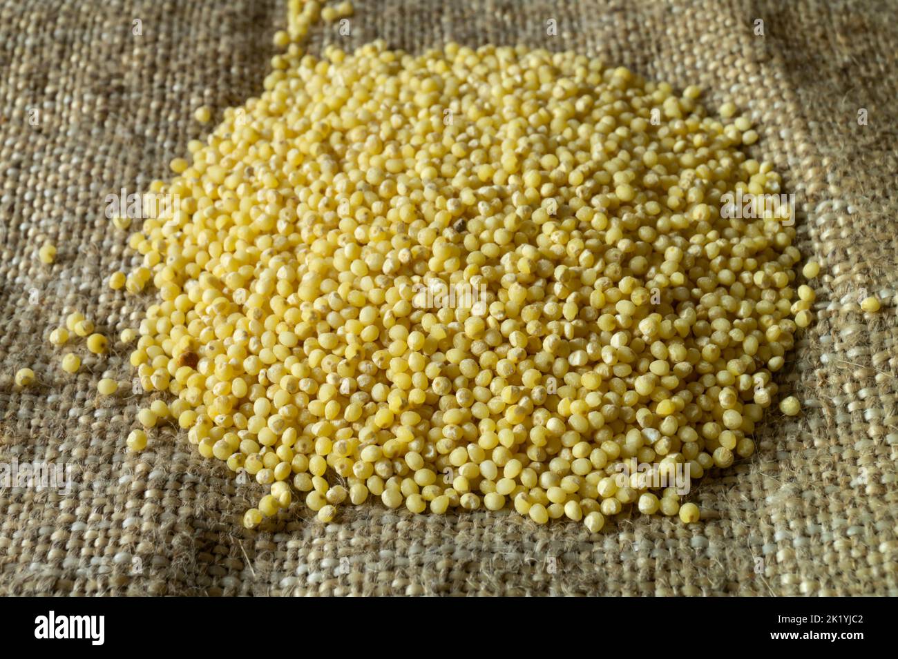 Gelbe Kruppe auf einem horizontalen Foto. Rundes Getreide auf dem Tisch, Getreideernte in ländlichen Gebieten Stockfoto