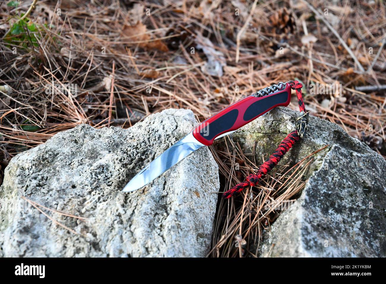 Klappmesser Schneiden Edelstahl Klinge rot schwarz Griff para Schnur Lanyard braun trocken Gras grau Stein Natur Makro Hintergrund Stockfoto